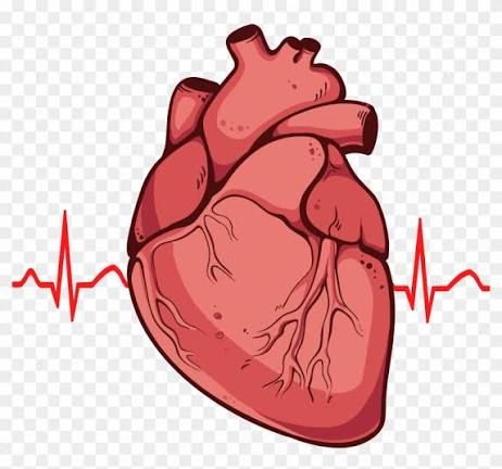 Cardiology Grand Rounds Banner