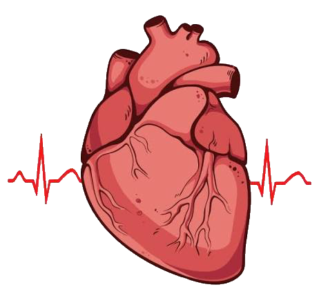 Cardiology Grand Rounds Banner